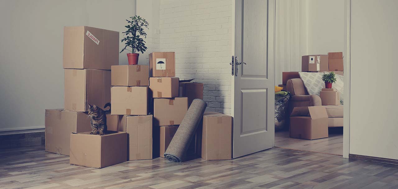 Packers-And-Movers